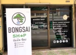 Bongsai Express: Medical Cannabis Dispensary