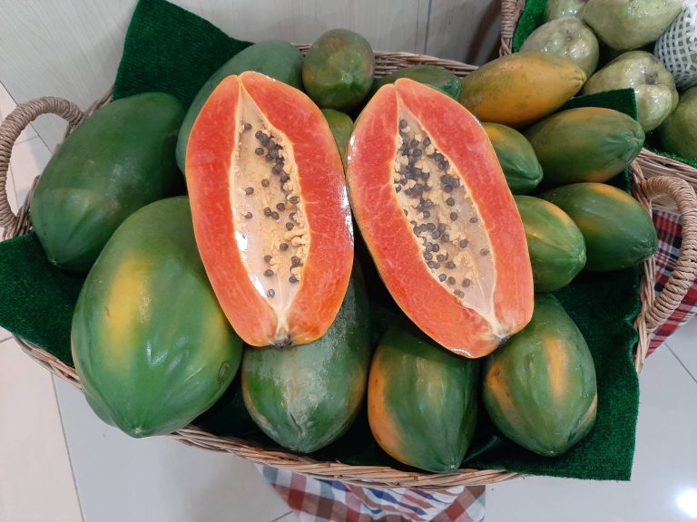 Red Lady Papaya – Farm Fresh Feel With HappyLyfe