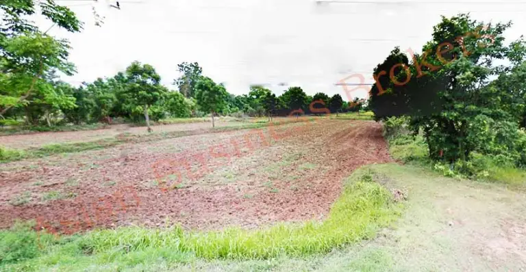 2904001 116 Rai Land in Khong District Korat for Freehold Sale