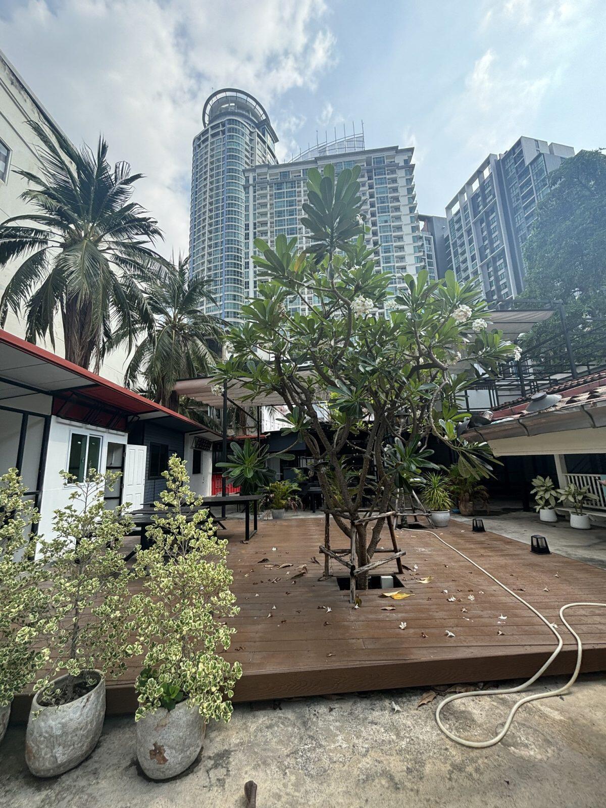 ✨ FOR RENT | Commercial Space @ Sukhumvit 69 ✨🏙️ — photo 3