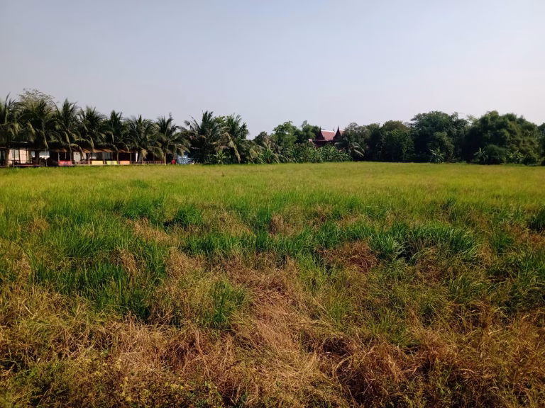 Sale large land about 9,600 sqm.  at Thairaman Road Hathairath ขายที่ดิน6ไร่ คลองสามวา