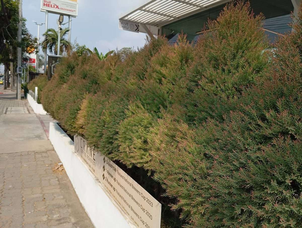 Selling Newly House at Chiang Mai not far Airport NEW House for sale  Chiang Mai   good location ขายบ้าน เชียงใหม่ — photo 2