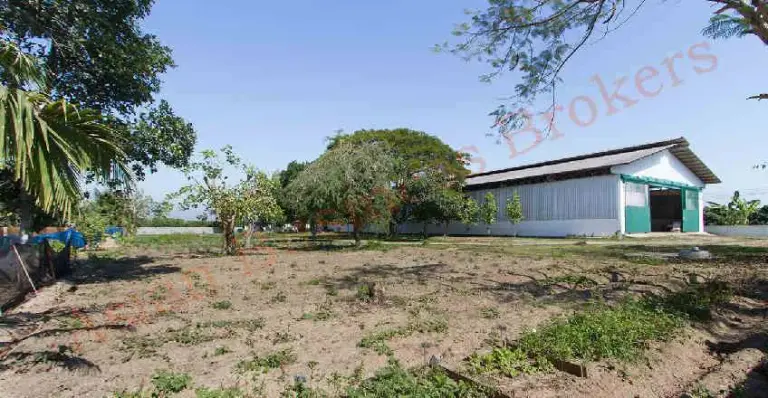 1012003 Large Factory Building in Industrial Zone in Chiang Mai for Rent