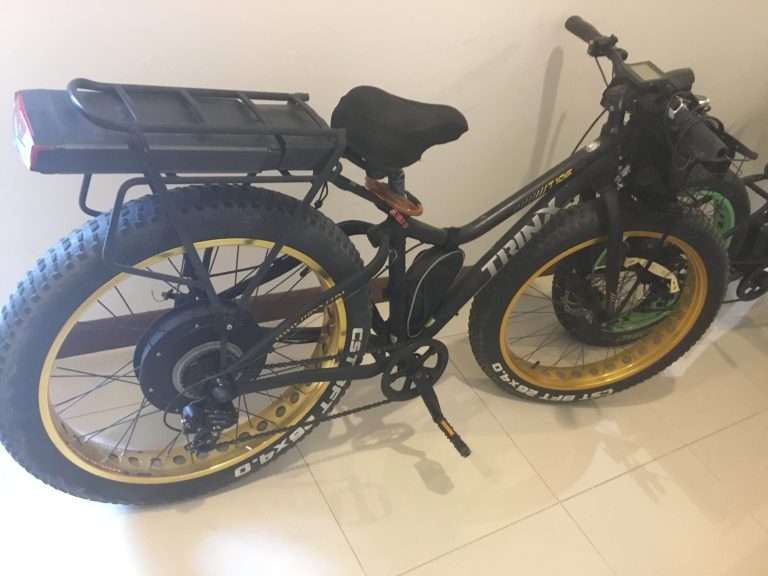 Electric Trina Bicycle