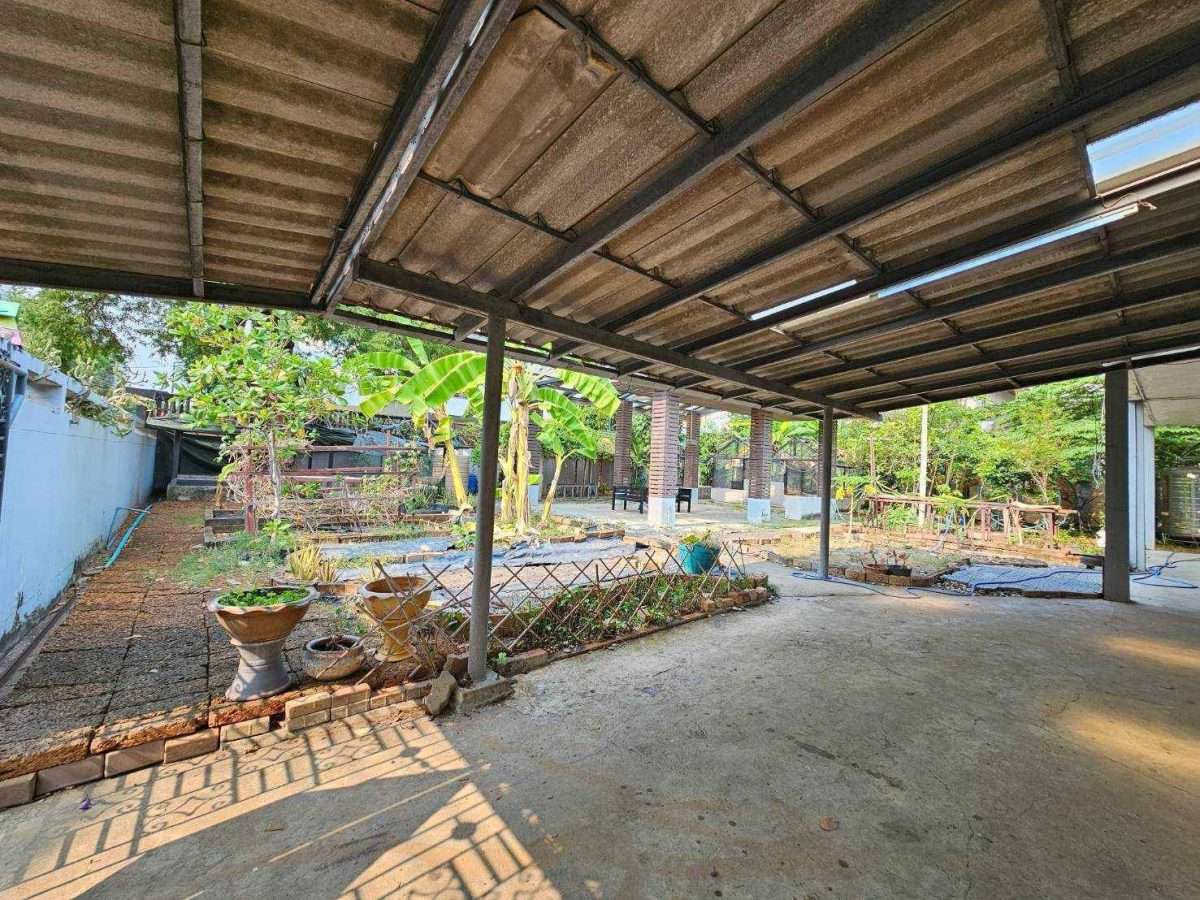 Rent Garden House  total area of  204 sq.wah or about 816 sqm. at Latphrao road very close Central Latphrao shopping malls — photo 2