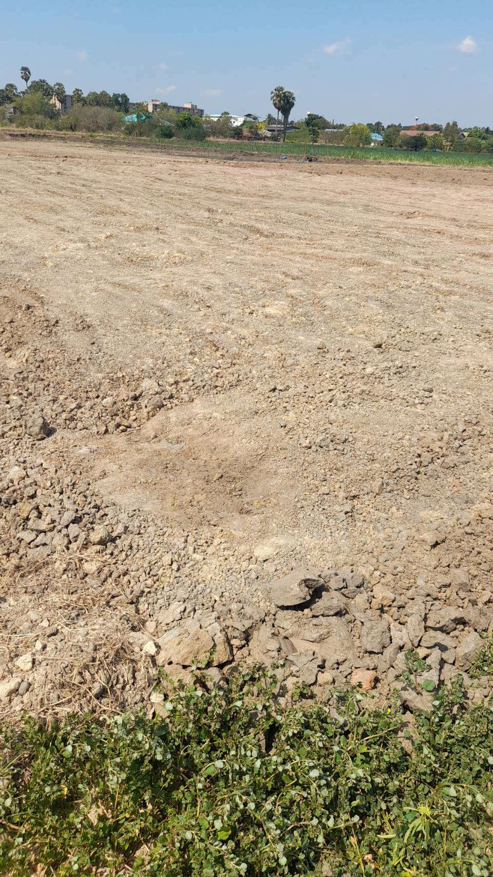 ขายที่ดิน นครปฐม Sale Nice Land 5 Rais Nakhon Pathom suitable for residence and Projects Selling land 8,000 sq.m. at Nakhon Pathom