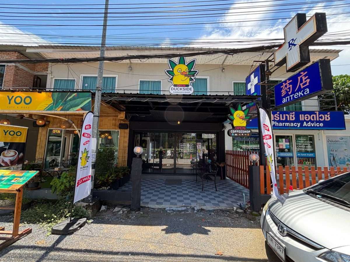 Cannabis shop for sale in Koh Samui