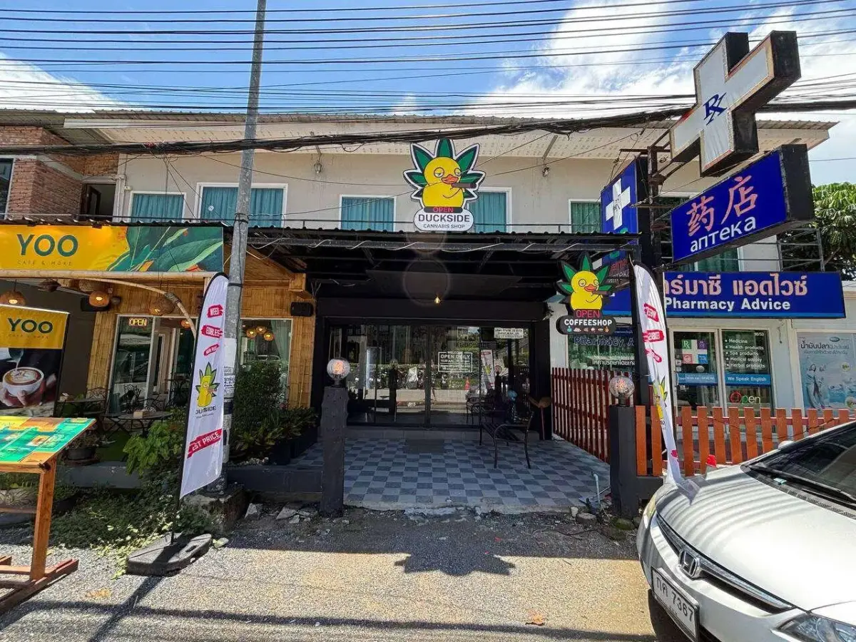 Cannabis shop for sale in Koh Samui — photo 2