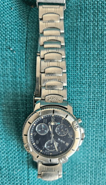 Camel Watch