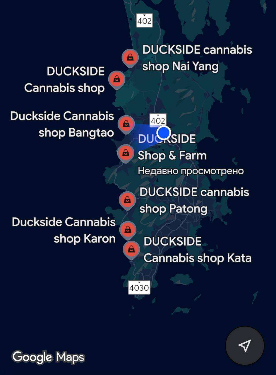 photo 2568 10 14 18 41 10