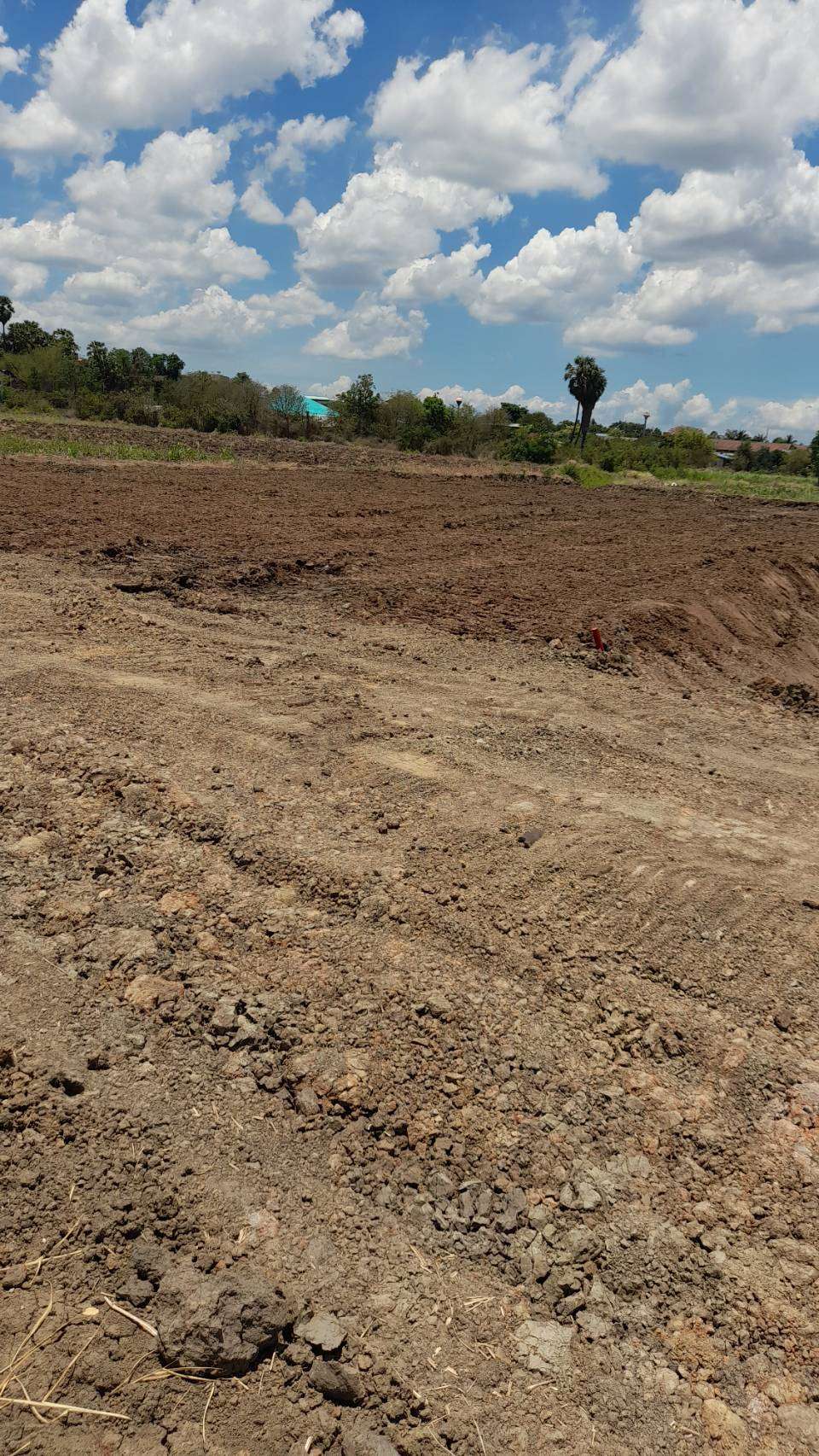 ฺBeautiful land Vacant plot of land for sale, 5 rais on sale at Nakhon Pathom ขายที่ดินแปลงสวย 5 ไร่ นครปฐม