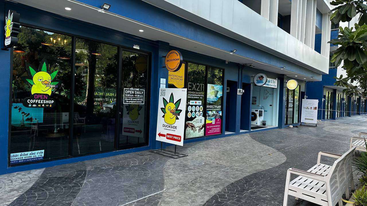 photo 2568 11 04 19 23 18