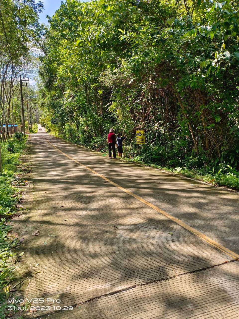isLand for sale , Phang Nga    ขายที่ดินบนเกาะ สวยมากๆ โฉนด วิวสวยมากๆ พังงาราคาพร้อมเจรจากับผู้ซื้อจริงๆ