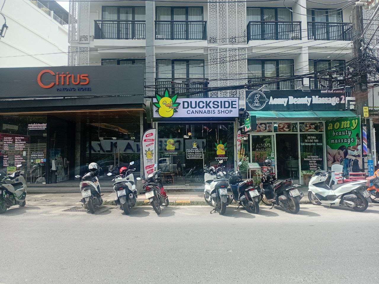 photo 2568 11 03 18 28 41