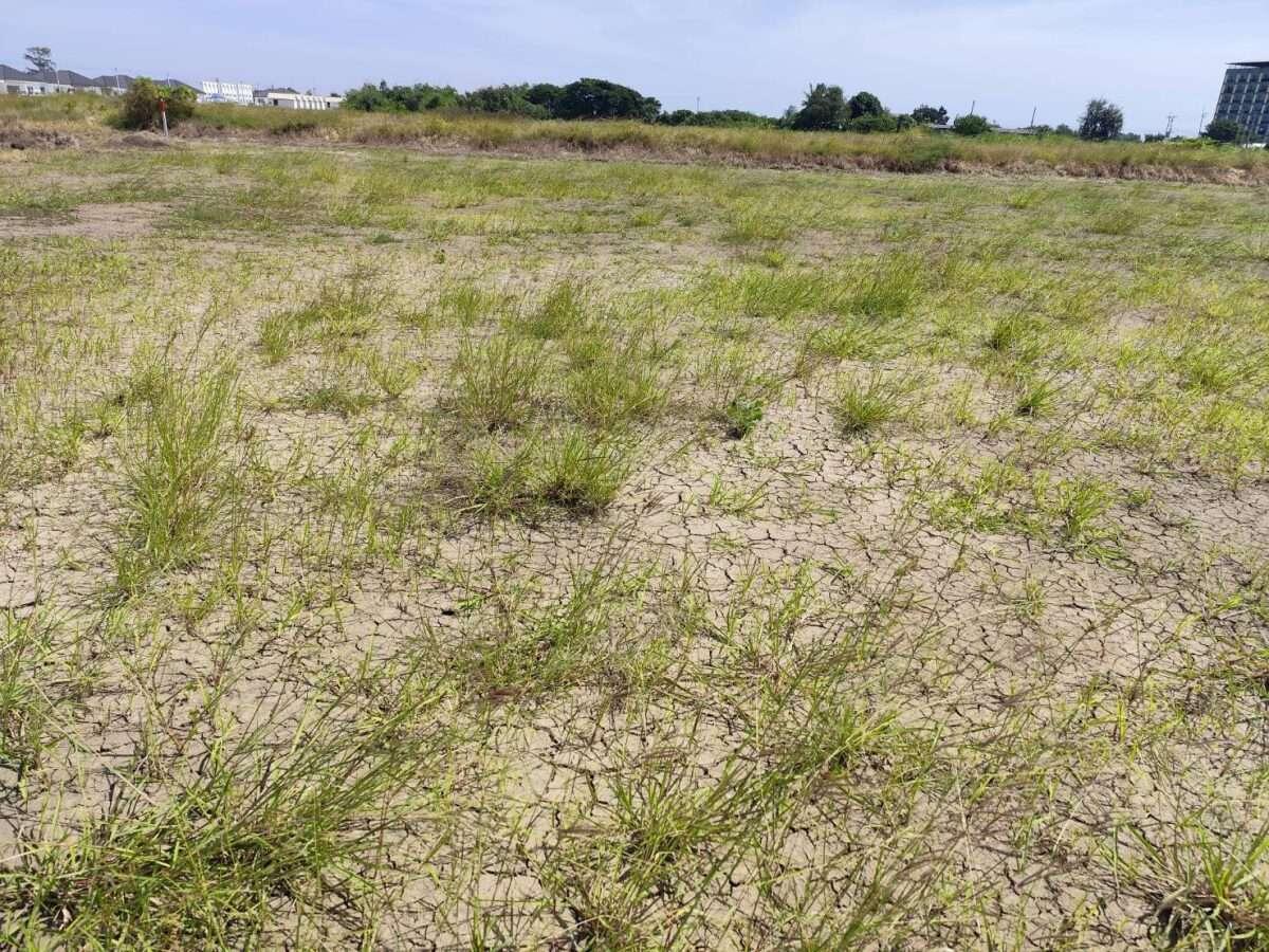 Sale large land 9.3 Rais suitable for projects greenery view, natural view, pond view,near Kaset University, Nakhon Pathom, more than 100 meters — photo 3
