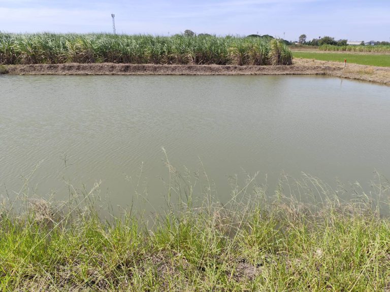 Sale large land 9.3 Rais suitable for projects or building house etc, can be subdivided  Kamphaeng Saen District, Nakhon Pathom Province near Bangkok ขายที่ดินแปลงสวย อากาศดี มีบ่อน้ำใส กำแพงแสน นครปฐม