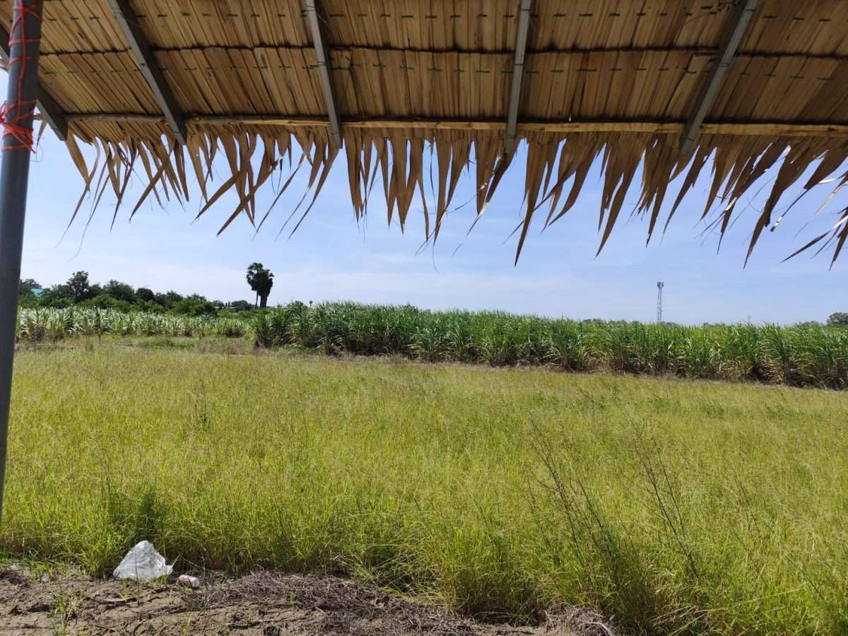 ขายที่ดินแปลงสวย อากาศดี มีบ่อน้ำใส กำแพงแสน นครปฐม  Sale large land 9.3 Rais can be subdivided  Kamphaeng Saen District, Nakhon Pathom Province near Bangkok