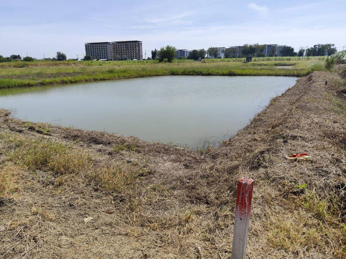 Sale large land 9.3 Rais suitable for projects or building house etc, can be subdivided  Kamphaeng Saen District, Nakhon Pathom Province near Bangkok ขายที่ดินแปลงสวย อากาศดี มีบ่อน้ำใส กำแพงแสน นครปฐม — photo 2