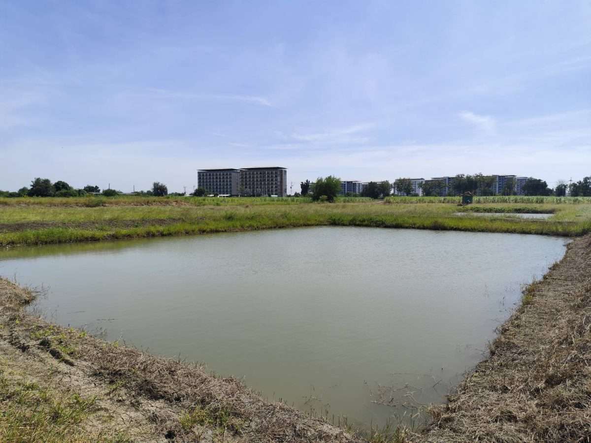 Sale large land 9.3 Rais suitable for projects or building house etc, can be subdivided Kamphaeng Saen District, Nakhon Pathom Province near Bangkok — photo 3