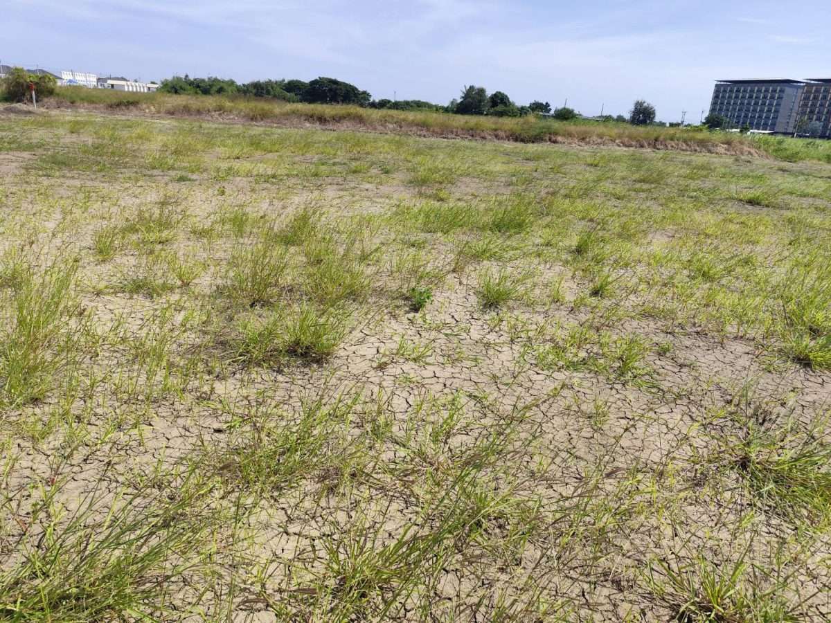 ขายที่ดินแปลงสวย อากาศดี มีบ่อน้ำใส กำแพงแสน นครปฐม  Sale large land 9.3 Rais suitable for projects or building house etc, can be subdivided  Kamphaeng Saen District, Nakhon Pathom Province near Bangkok