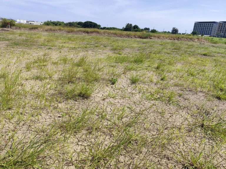 ขายที่ดินแปลงสวย อากาศดี มีบ่อน้ำใส กำแพงแสน นครปฐม  Sale large land 9.3 Rais suitable for projects or building house etc, can be subdivided  Kamphaeng Saen District, Nakhon Pathom Province near Bangkok