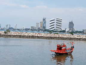 optimized image (31)