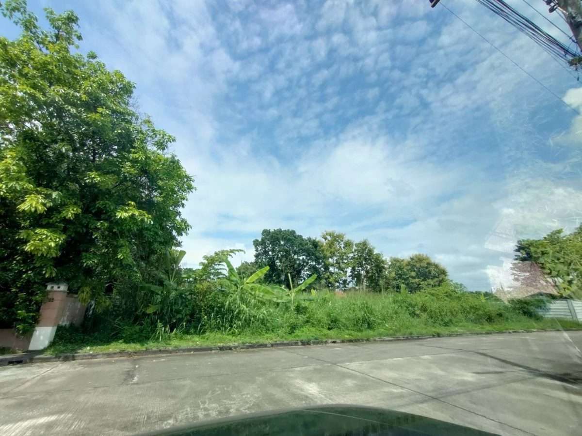 Land for Sale in Hang Dong, Chiang Mai – Ideal for Residential Homes & Pool Villas ขายที่ดินเปล่าจัดสรร อ.หางดง จ.เชียงใหม่ ใกล้ห้างสรรสินค้า เซ็นทรัล เชียงใหม่ แอร์พอร์ต และ สนามบินเชียงใหม่เพียง 8 กม. — photo 2