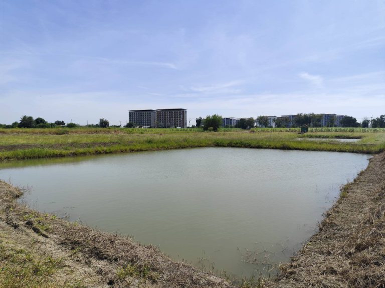 Sale large land 9.3 Rais suitable for projects greenery view, natural view, pond view,near Kaset University, Nakhon Pathom, more than 100 meters