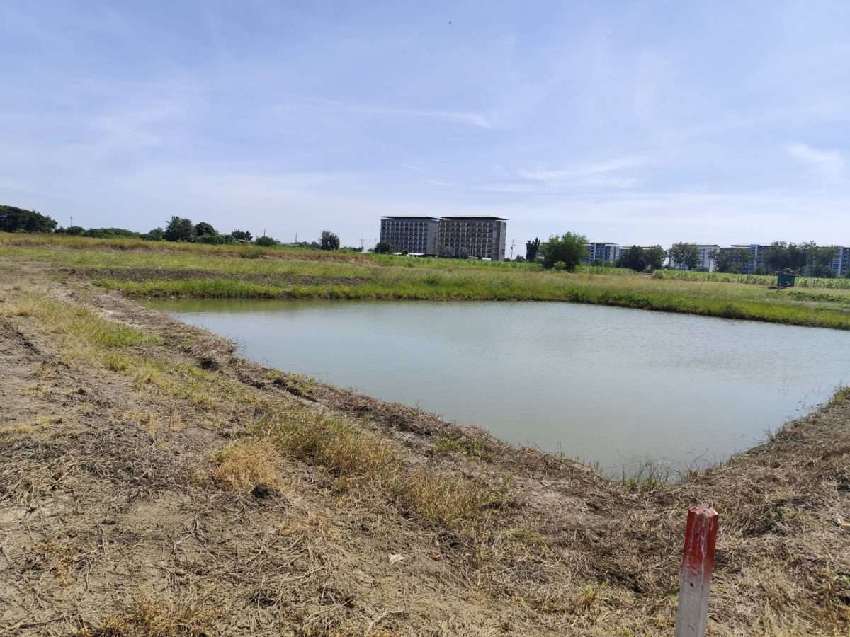 Vacant land for sale 1-9 Rais good view natural plot amidst cornfields near Kasetsart University, Kamphaeng Saen Campus, Nakhon Pathom — photo 2