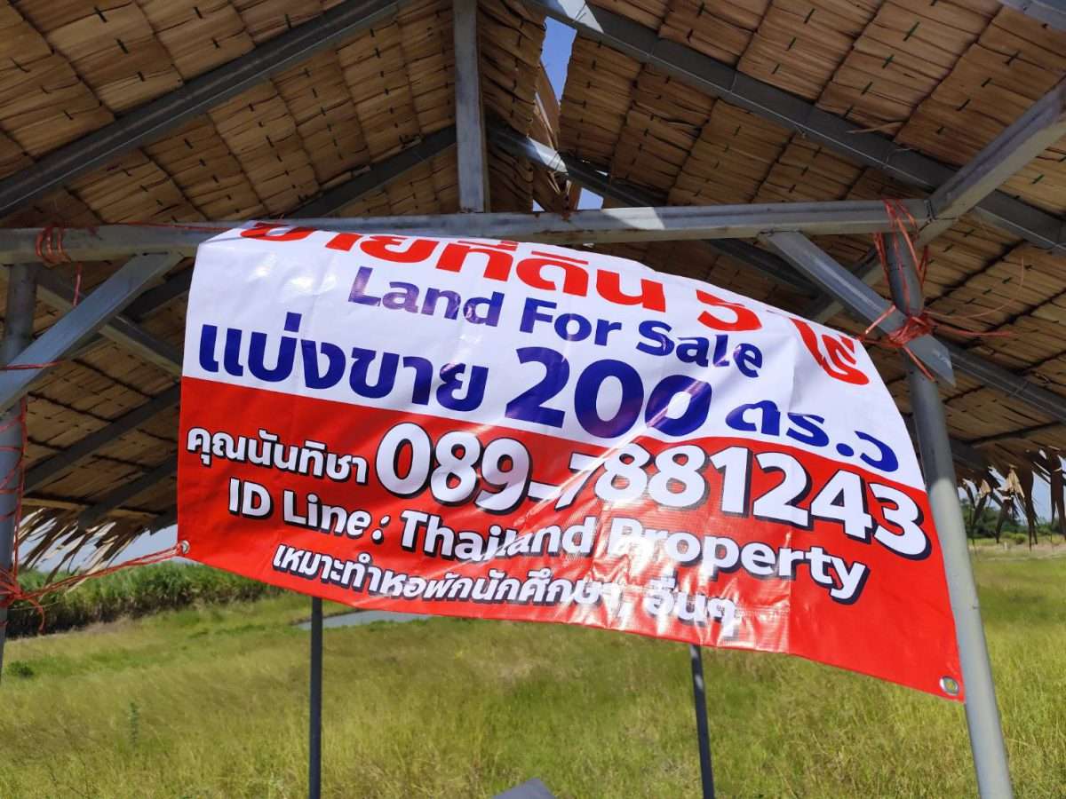 ขายที่ดินแปลงสวย อากาศดี มีบ่อน้ำใส กำแพงแสน นครปฐม  Sale large land 9.3 Rais can be subdivided  Kamphaeng Saen District, Nakhon Pathom Province near Bangkok — photo 2