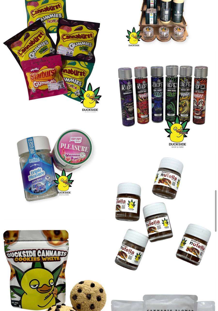 photo 2569 01 11 18 19 48