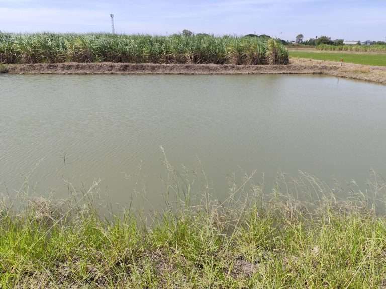Sale large land 9.3 Rais suitable for projects or building house etc, can be subdivided Kamphaeng Saen  Nakhon Pathom