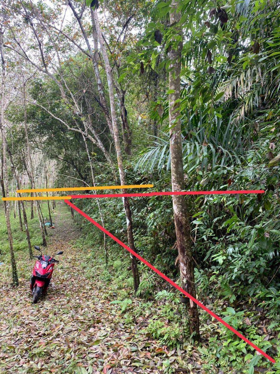 Sell nice island with garden at Phang Nng Chanote  special price very cheapest  ขายที่ดินและสวนยาง เกาะยาวน้อย พังงา 6 ไร่ ราคาถูกพิเศษมาก