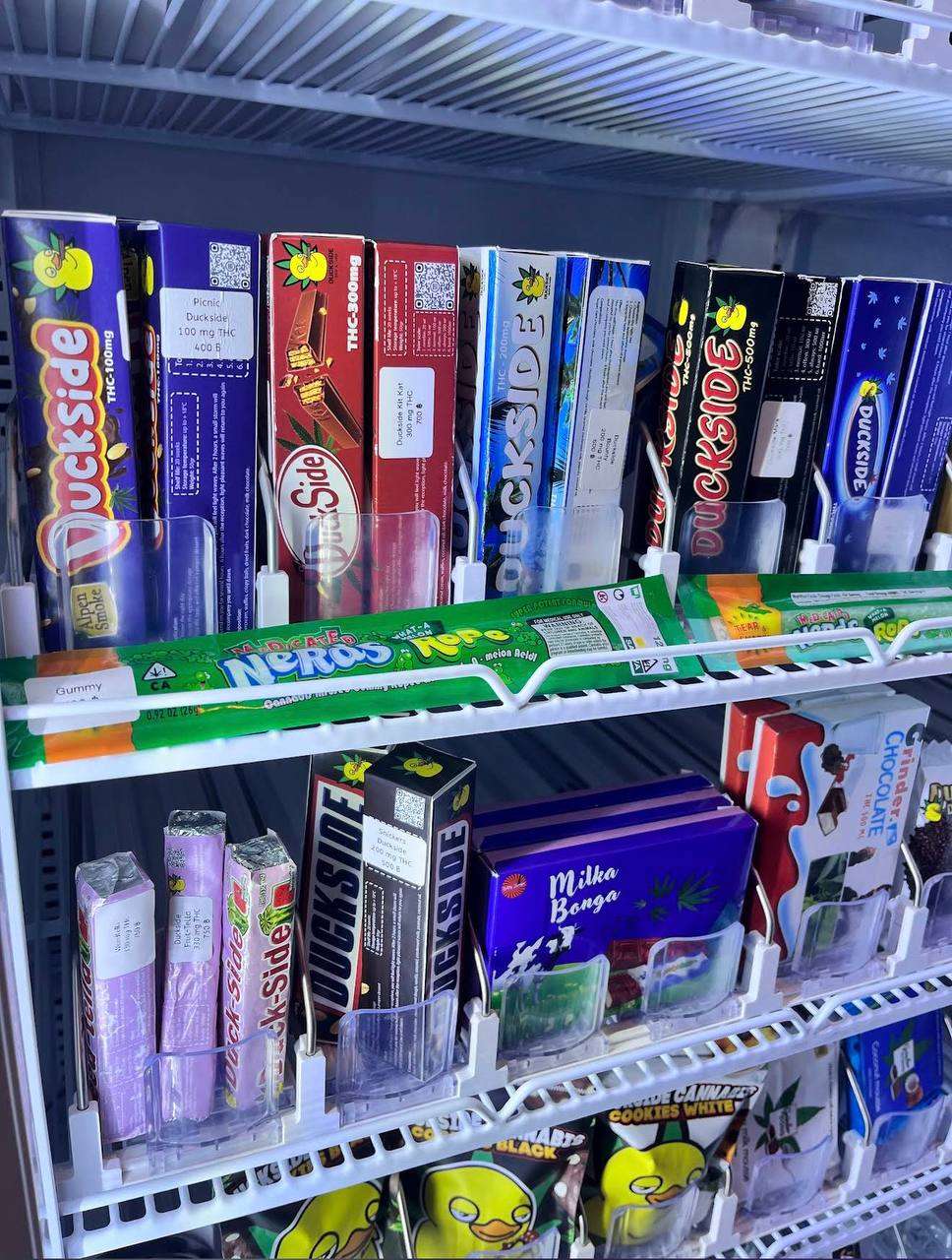 photo 2569 01 11 17 24 12