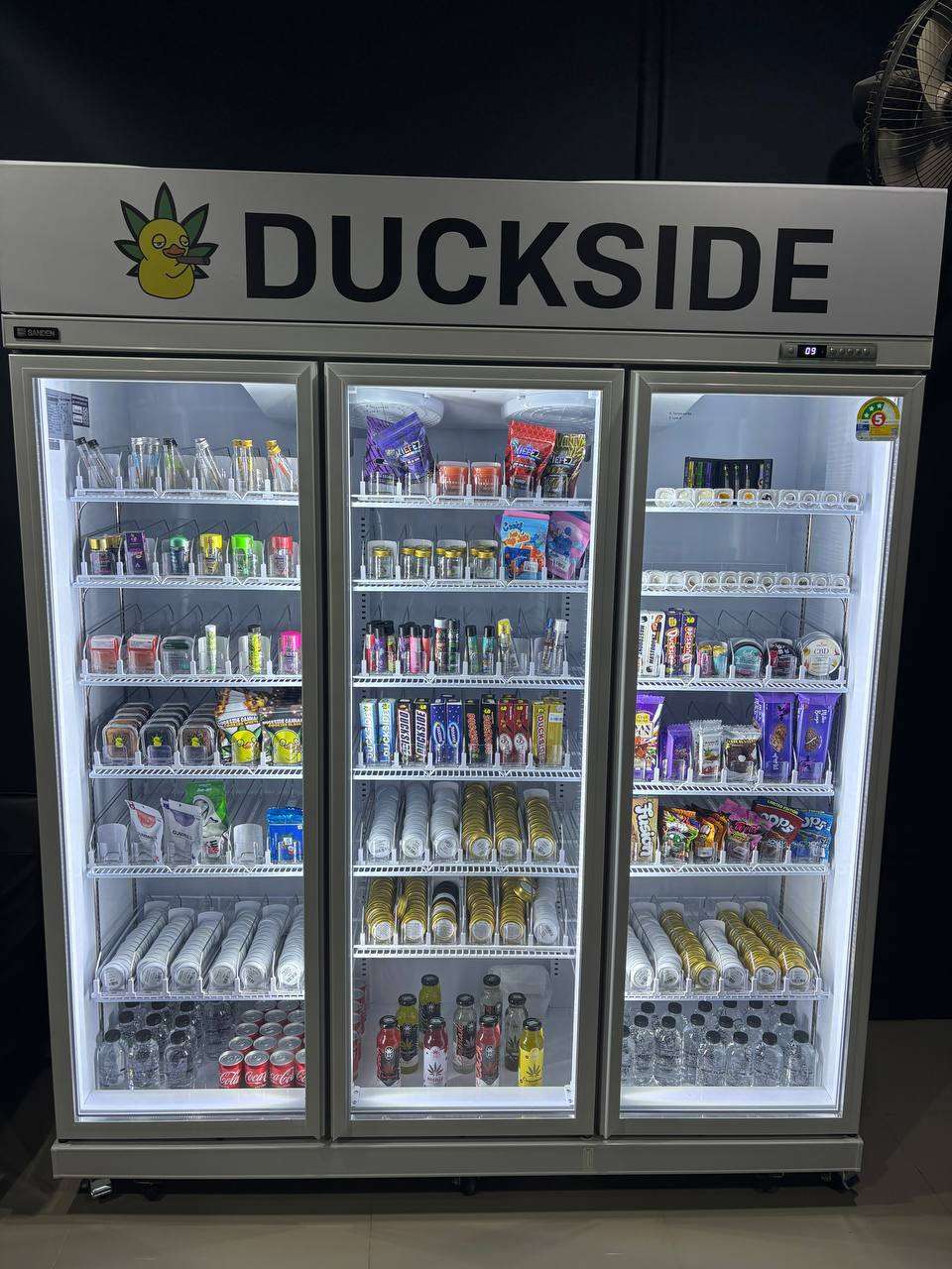 photo 2569 01 11 18 19 41