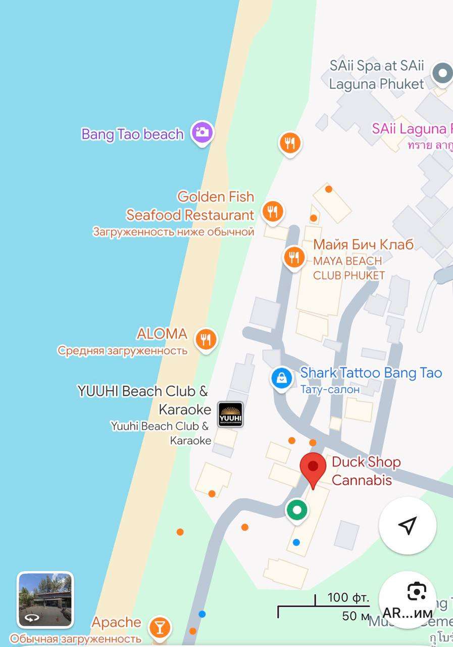 photo 2569 01 11 18 20 37