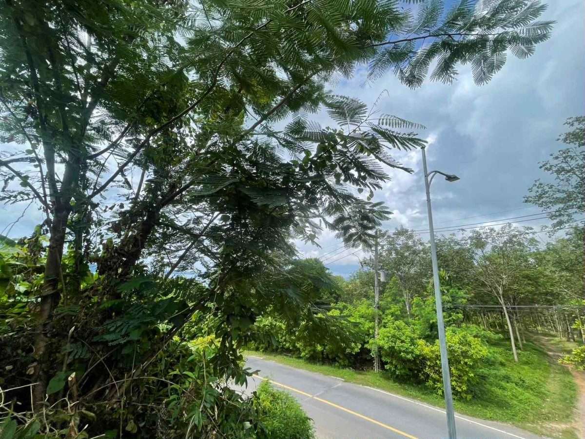 Land for Sale &ndash; Khao Khad, Wichit, Mueang Phuket 🌴