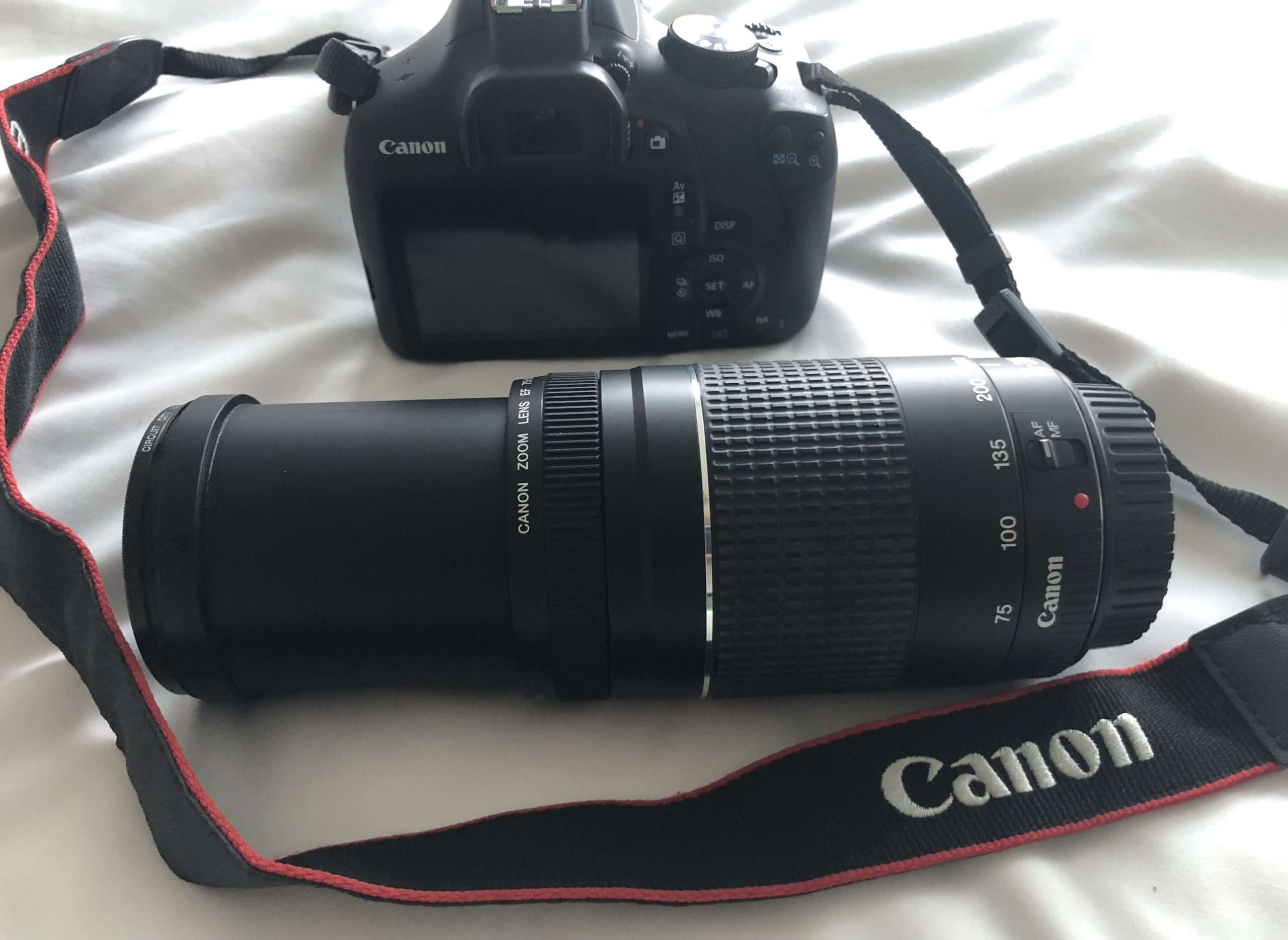 IMG 2833 compress 893kb