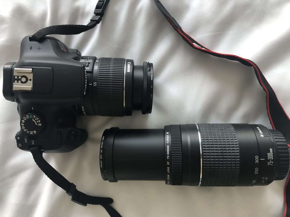 Canon Rebel T6 DSLR Camera/Lenses