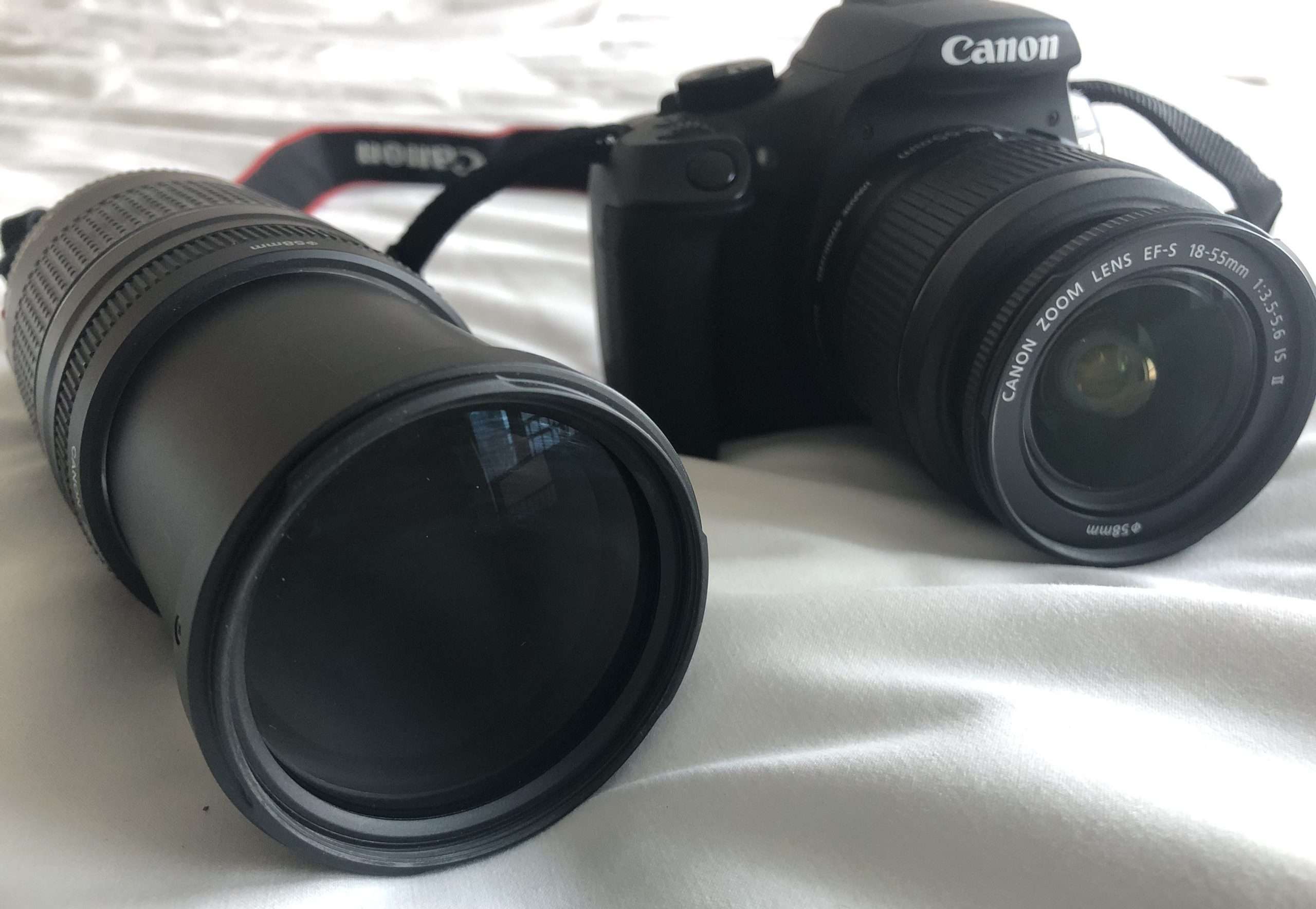 IMG 2830 compress 954kb