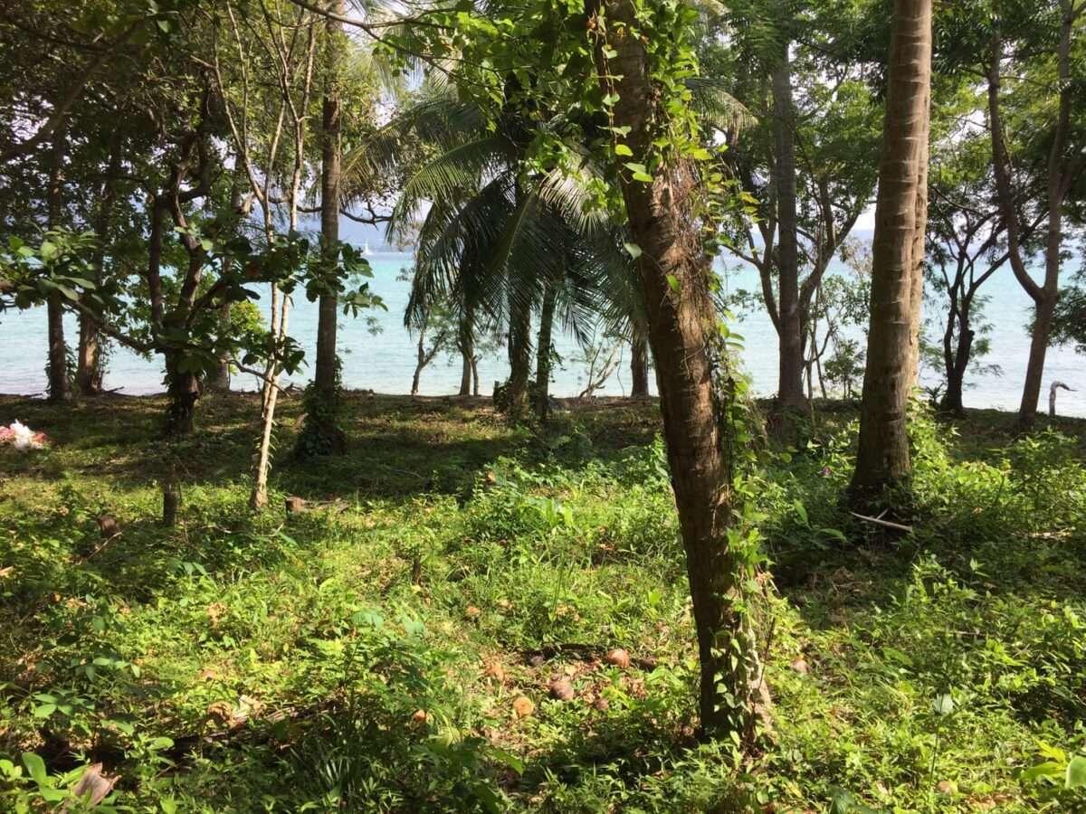 🔹 LAND FOR SALE – BEACHFRONT, KOH LONE, PHUKET 🔹 — photo 3