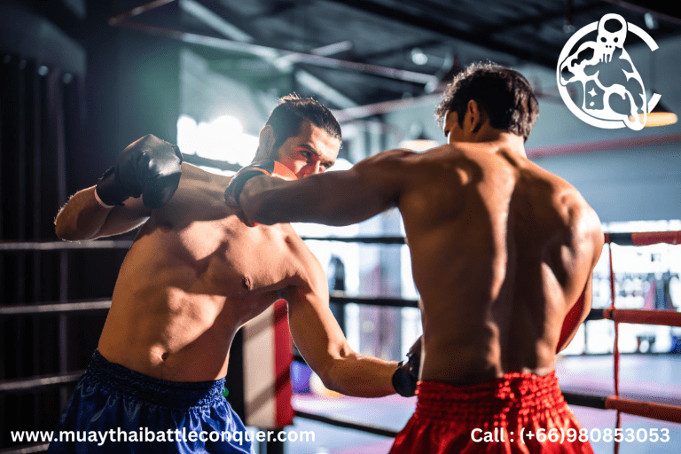Find Muay Thai Battle Conquer | Martial Arts in Thailand