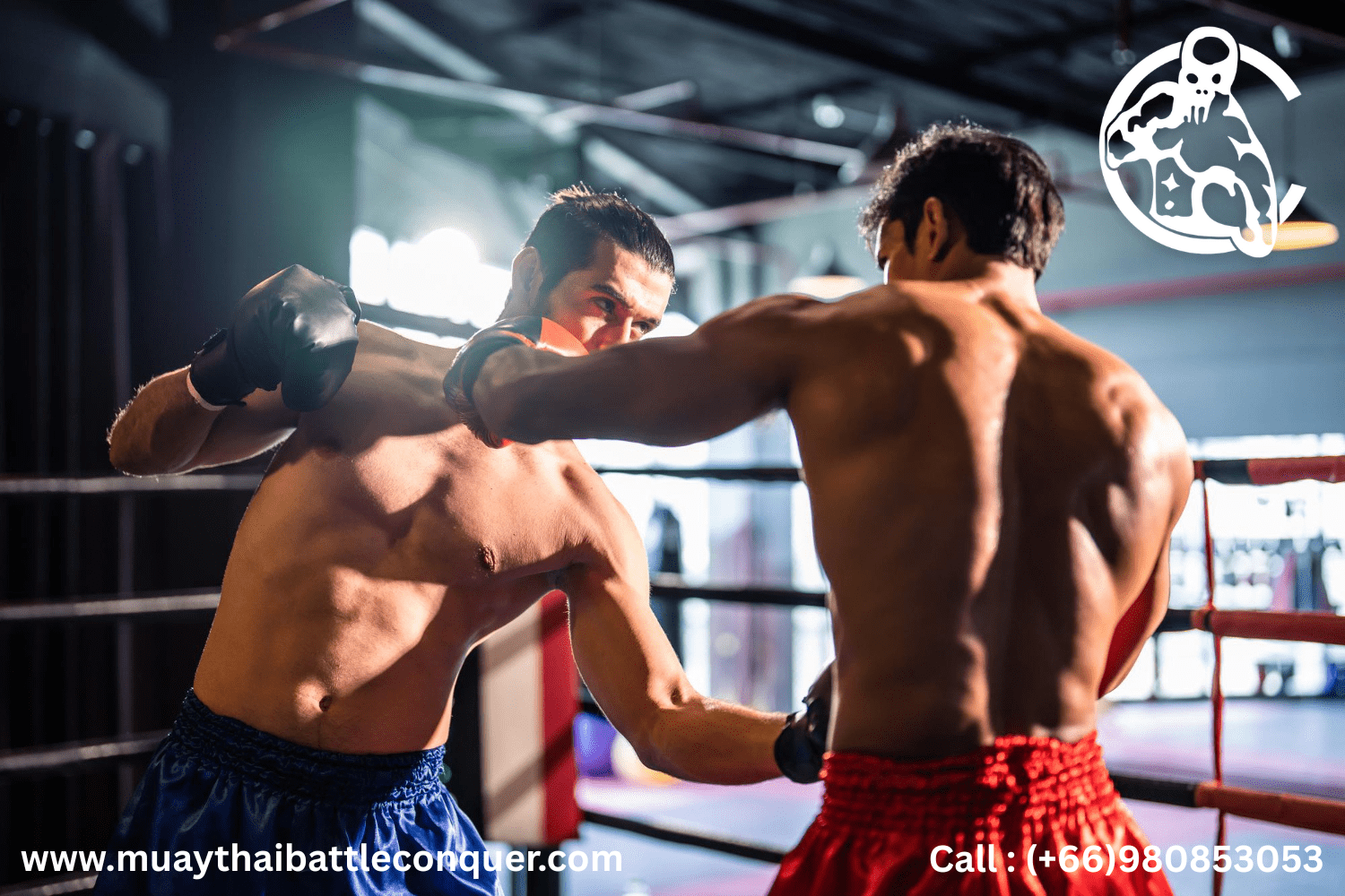 Find Muay Thai Battle Conquer Martial Arts in Thailand