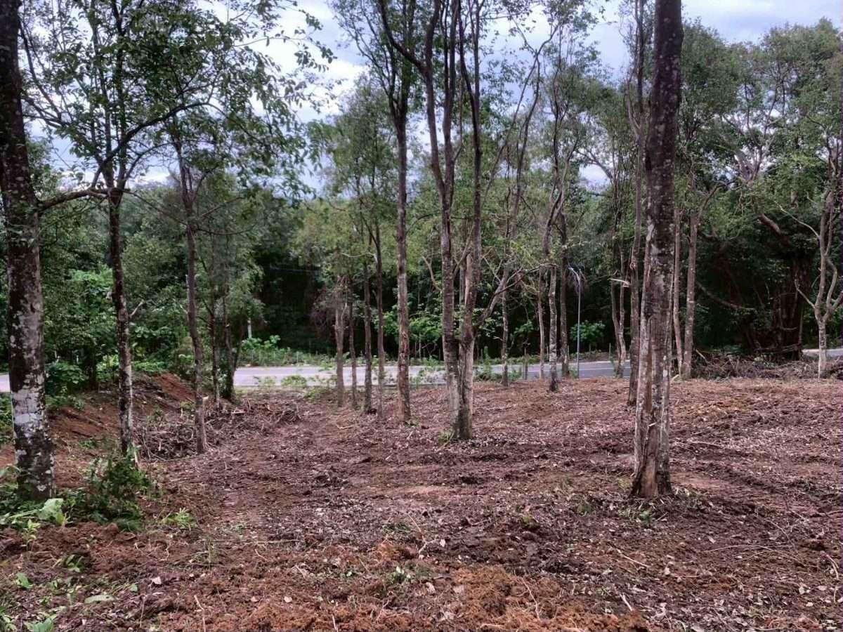 Land for Sale – Khao Khad, Wichit, Mueang Phuket 🌴 — photo 2