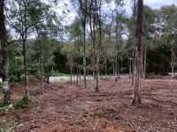 c494302a 5642 4555 8aa9 6930db9d7d2a