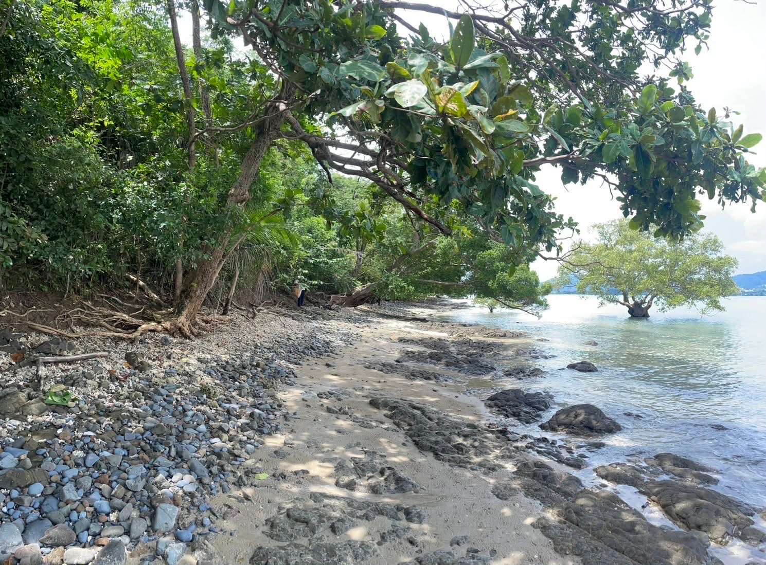 b8621ae3 2932 427d bc16 53ebc62d0084