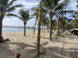 NICE CONDO BIG ROOM FOR SALE FREE FULLY FURNISHED WITH POOL AND NEAR BEACH ขายคอนโดใกล้ทะเล นาจอมเทียน ฟรีเฟอร์