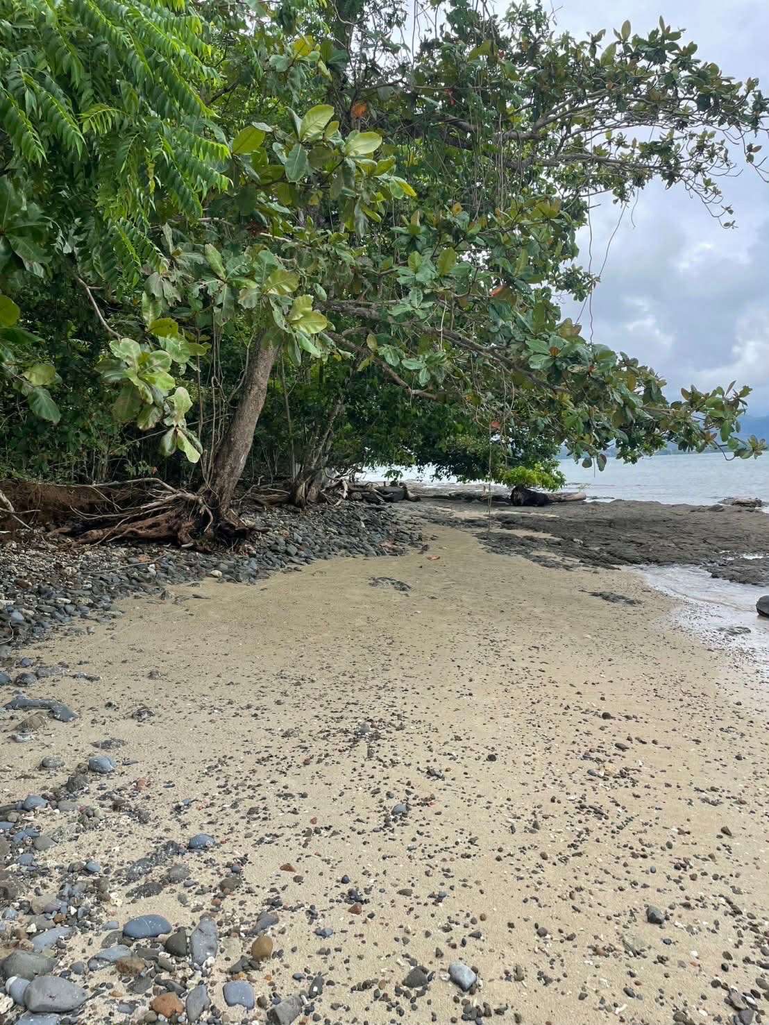 b29d4b7f a9d0 4a15 afcd 8bc8195e7338