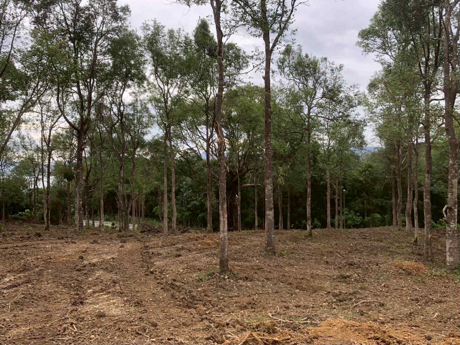 fea8d73c 73f2 4c7d b31c 164f23e3eab5