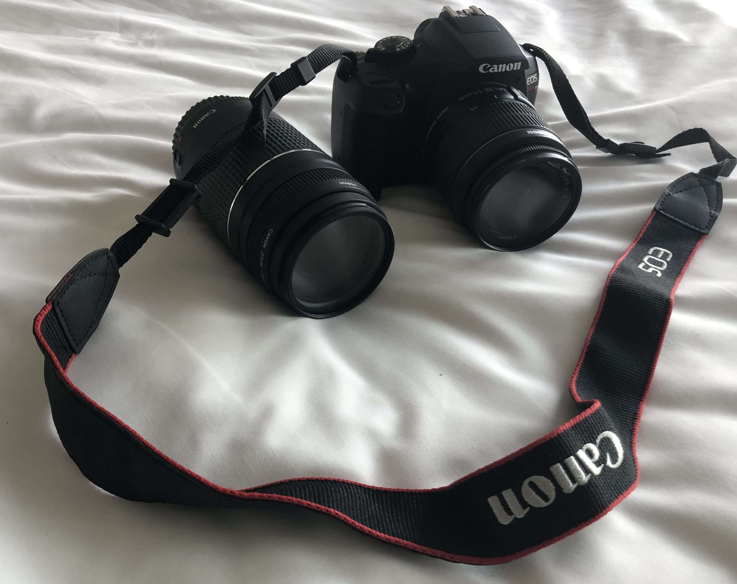 IMG 2825 compress 668kb